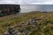 20120508_arannalheaheadeastcoast6
