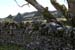 20120508_aranoatquarter3
