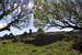 20120508_aranoatquarter4