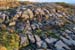 20120508_aranoghill02