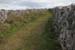 20120508_aranoghillcentralpath08