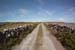 20120508_aranoghillcentralpath21