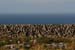 20120508_aranoghillstonewalls04