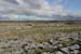20120508_aranoghillstonewalls09