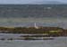 20120508_aranportchowrughheron2