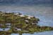 20120508_aranportchowrughsealcolony07