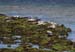 20120508_aranportchowrughsealcolony08