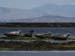 20120508_aranportchowrughsealcolony12