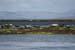 20120508_aranportchowrughsealcolony15