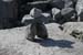 20120508_aranportveeladonecairn2