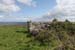 20120508_aranteampallasurnai1