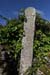 20120508_aranteampallchiarain11