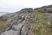 20120509_aranculoogarrow05