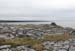 20120509_aranculoogarrow08