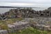 20120509_aranculoogarrow09