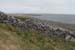 20120509_aranculoogarrow11
