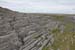 20120509_aranculoogarrow12