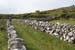 20120509_arankilleanyroundtower1