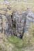 20120509_aranpuffingholew2