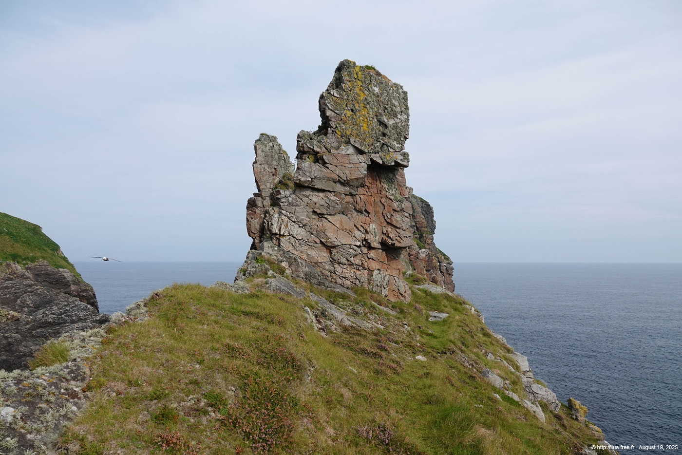 20250819_291