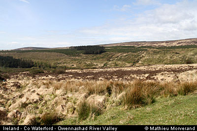 owennashadrivervalley