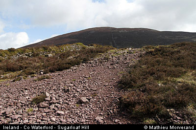 sugarloafhillpath1