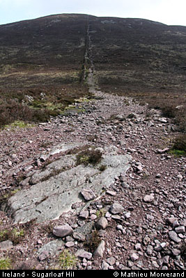 sugarloafhillpath2