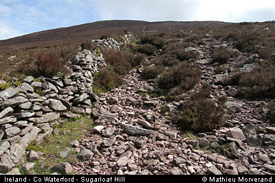 sugarloafhillpath3