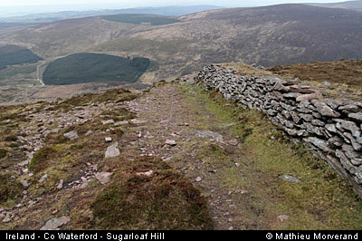 sugarloafhillpath6
