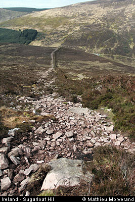 sugarloafhillpath9
