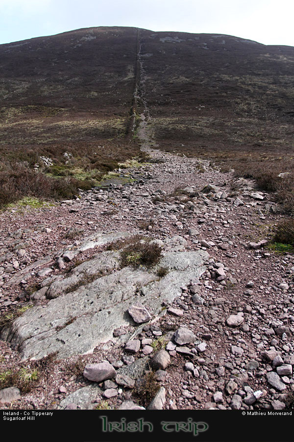 sugarloafhillpath2