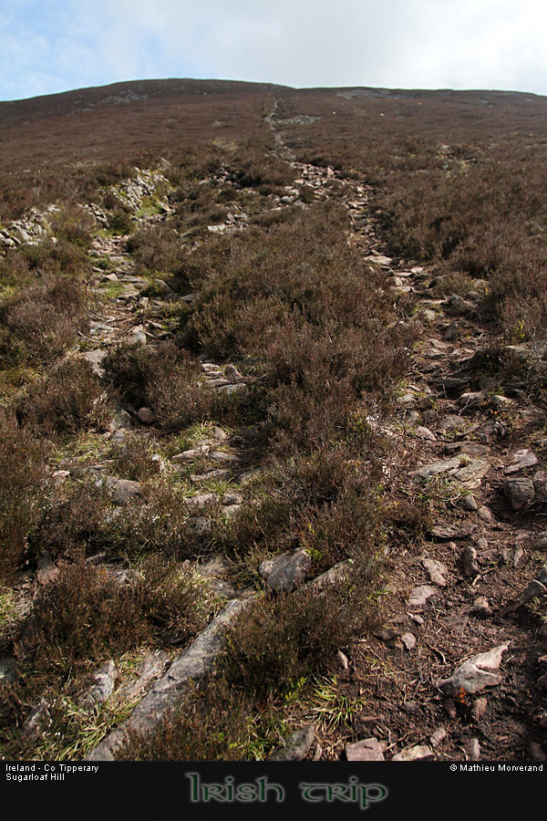 sugarloafhillpath4