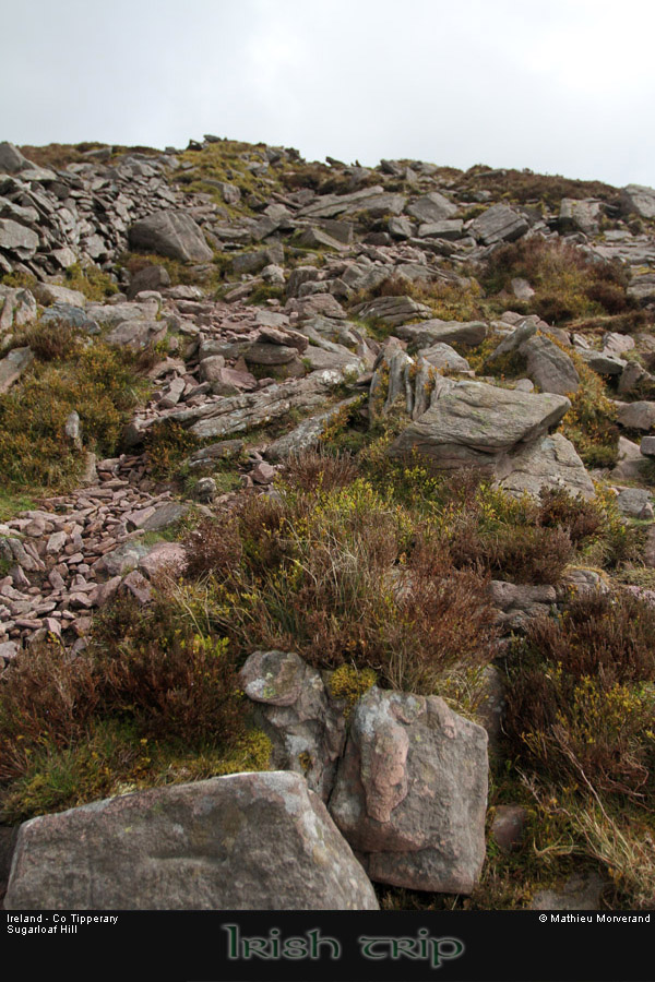 sugarloafhillpath5