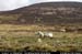 knockmealdownmountainsfromw2