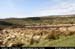 owennashadrivervalley