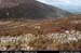 sugarloafhillnwslopes4