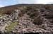sugarloafhillpath3