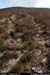 sugarloafhillpath4