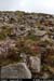 sugarloafhillpath5