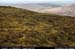 sugarloafhilltop_westslopes1