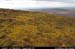 sugarloafhilltop_westslopes2