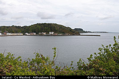 arthurstownbay
