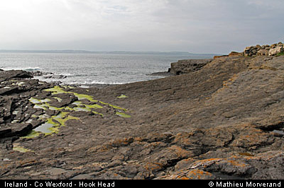 hookheadcoast06