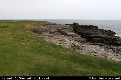 hookheadcoast10