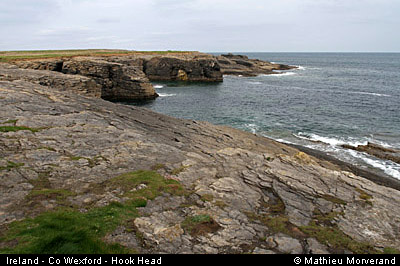 hookheadcoast11