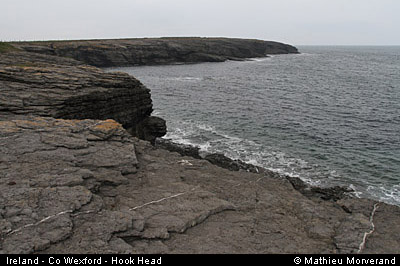 hookheadcoast13