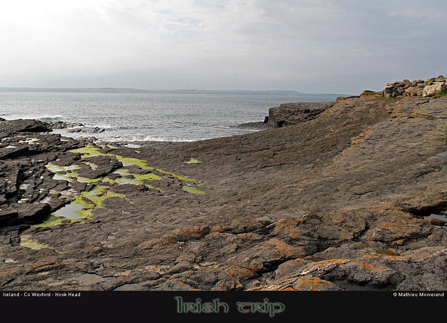 hookheadcoast06