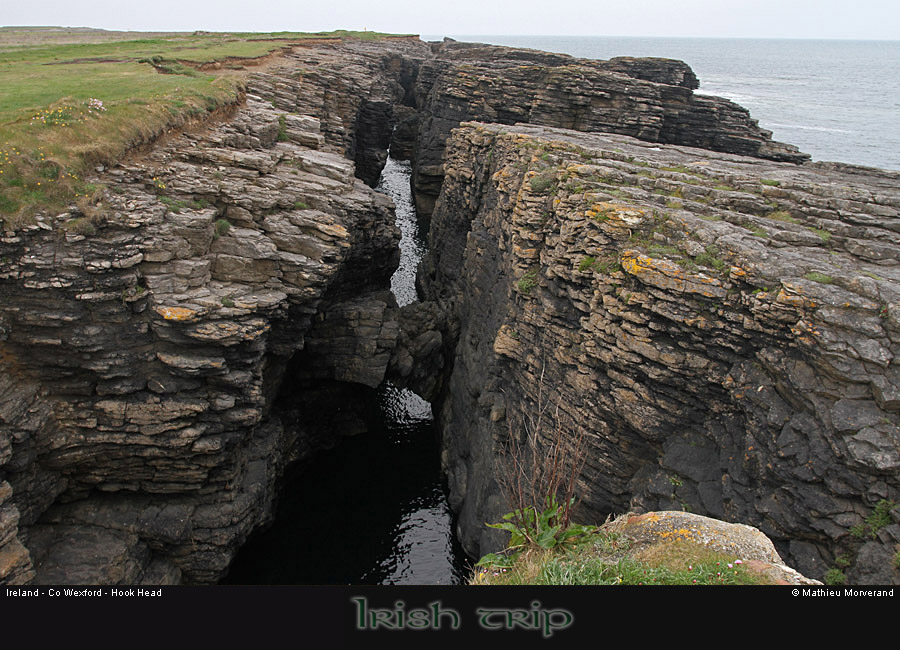hookheadcoast08
