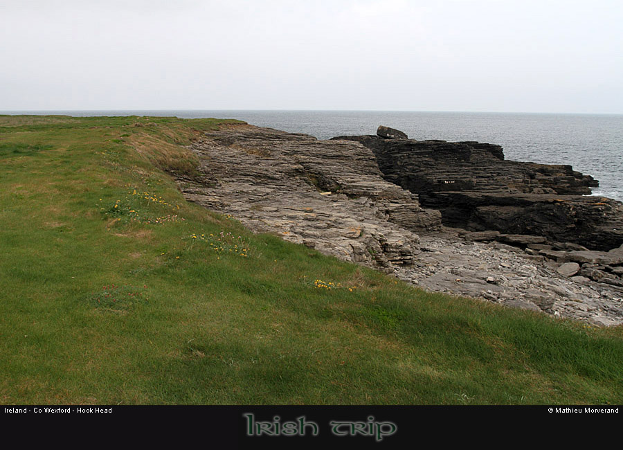 hookheadcoast10