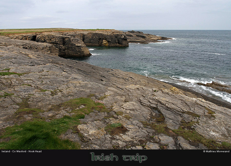 hookheadcoast11